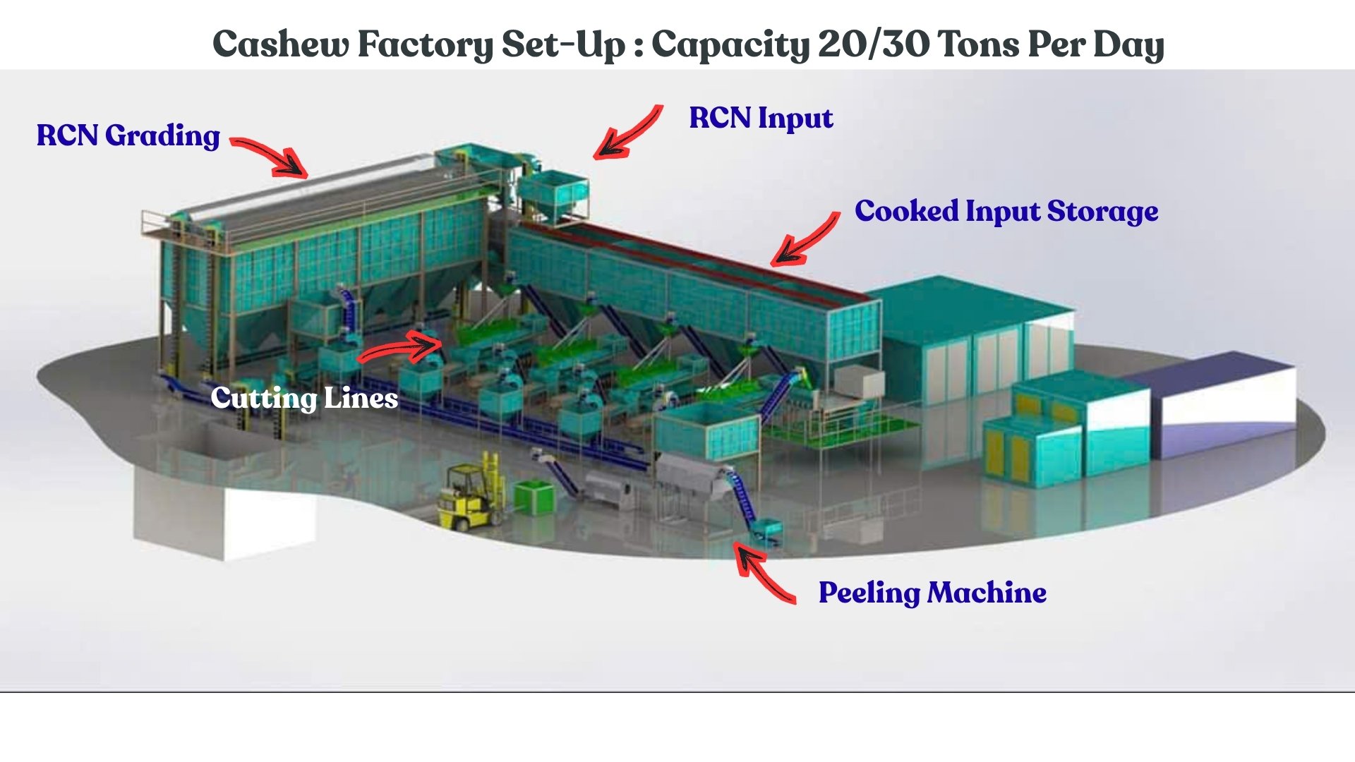 Plan d'usine de transformation de noix de cajou, capacité de 20 à 30 tonnes par jour